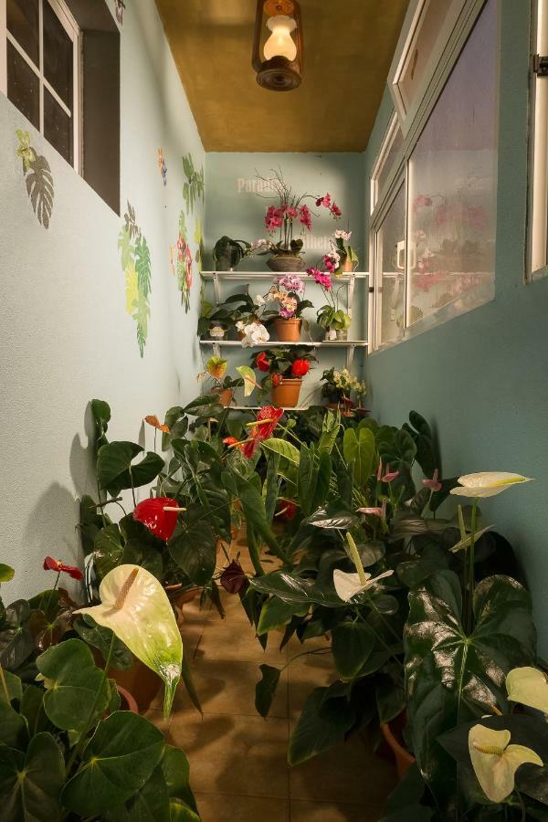 Paradise House Calheta מראה חיצוני תמונה